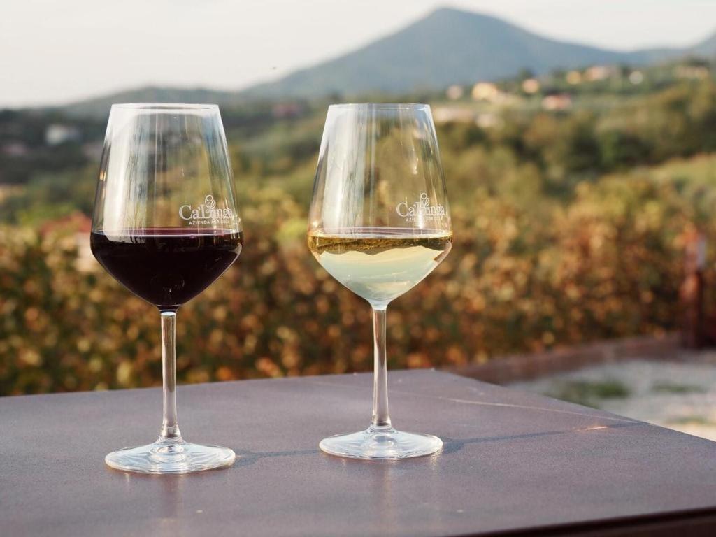 Azienda Agricola Ca' Lunga Cinto Euganeo 外观 照片