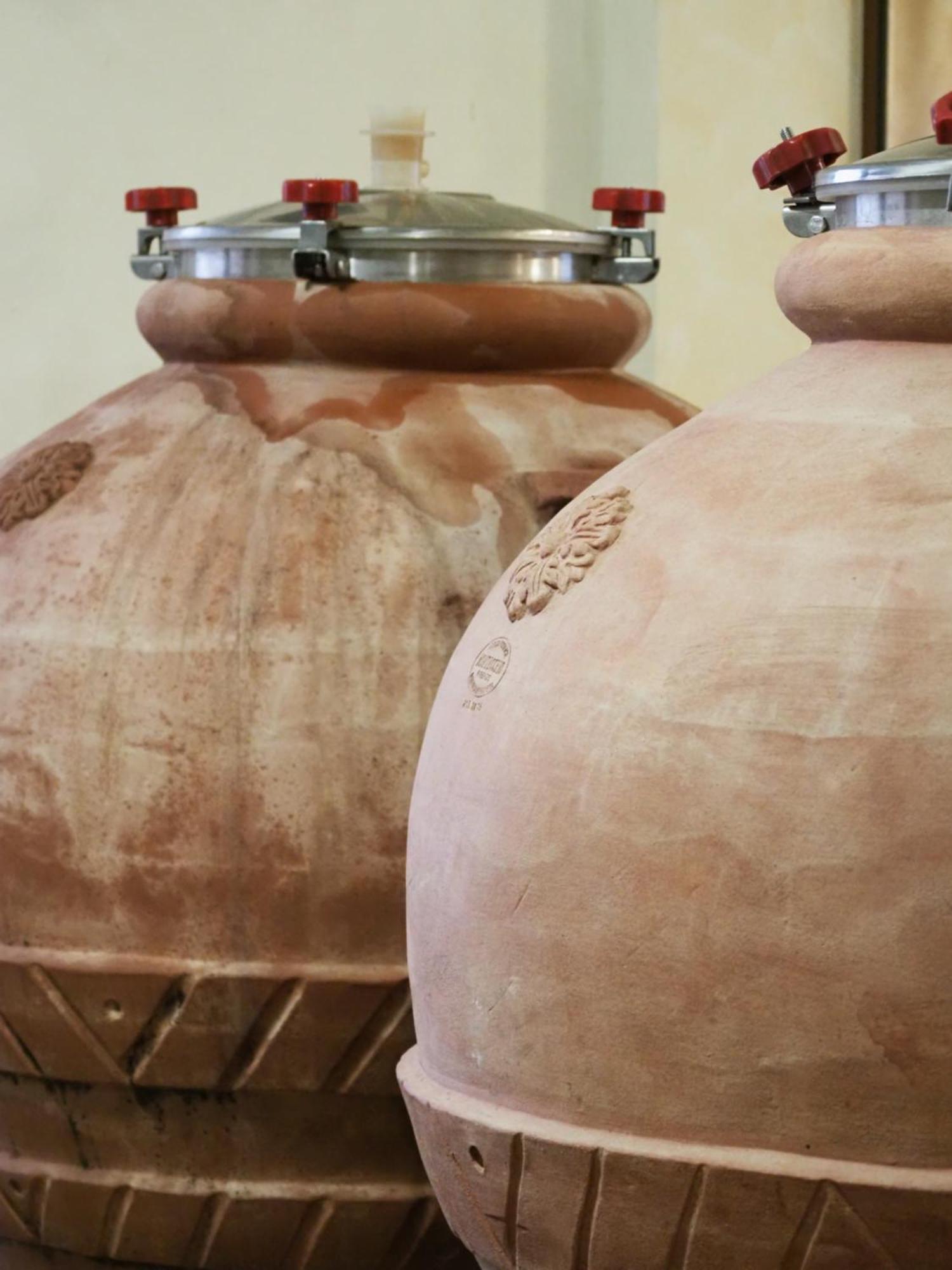 Azienda Agricola Ca' Lunga Cinto Euganeo 外观 照片